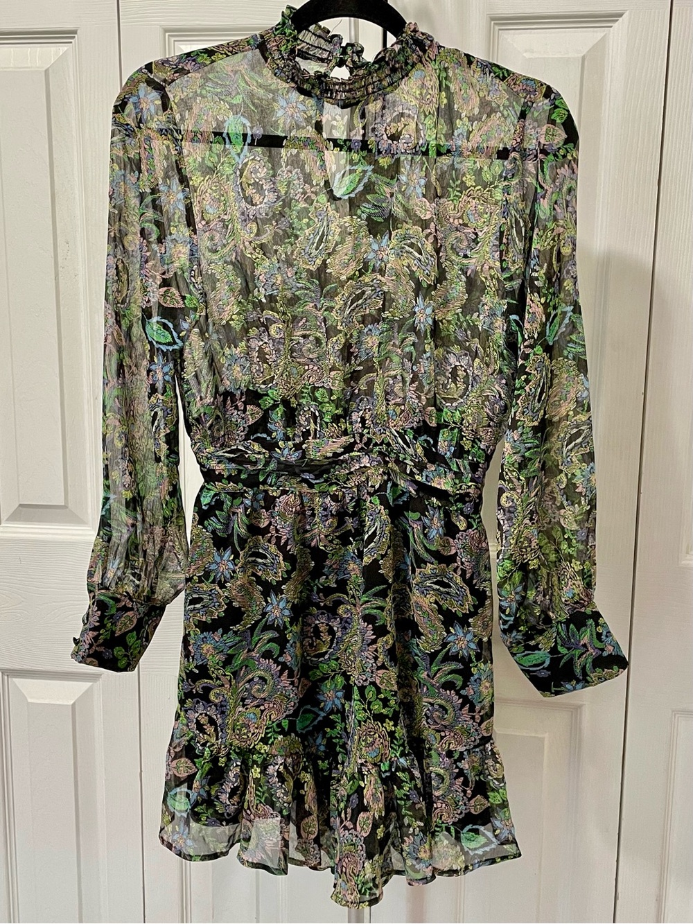 Zara Sheer Paisley Floral Long-Sleeve Mini Dress - Black & Green